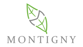 Sales Officer (Marketing Department)