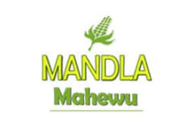 Sales and Marketing Assistant