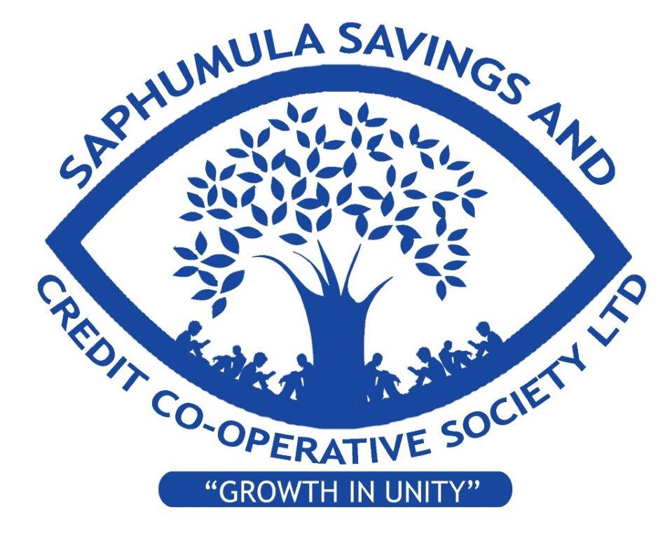 Marketing & IT Officer