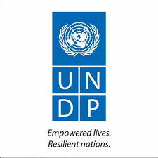 Individual National Consultant for Legal Environment Assessment (LEA)