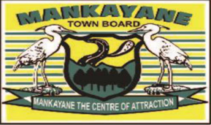 TOWN CLERK/ CHIEF EXECUTIVE OFFICER