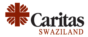 Programme Manager &
