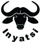 Inyatsi Construction Group Holdings
