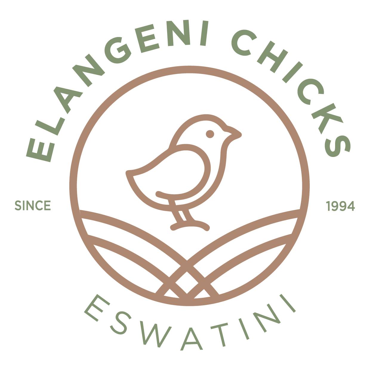 Financial Manager