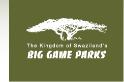 Trainee Game Ranger Selection
