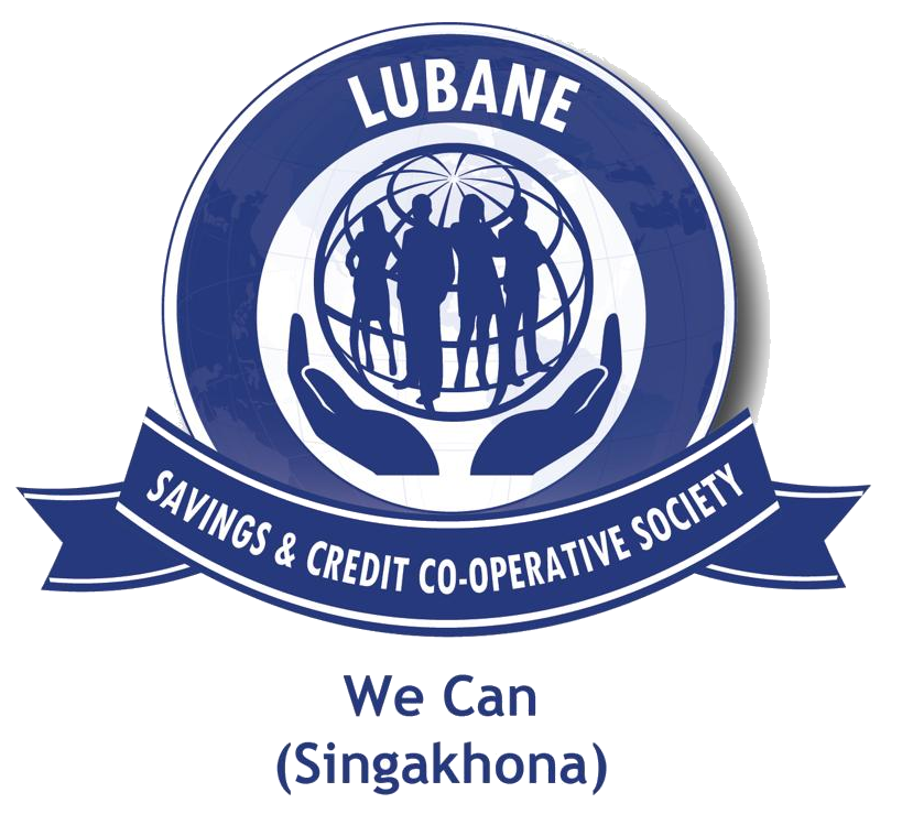 Accountant & Marketing Assistant