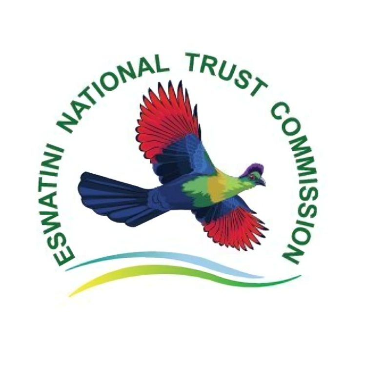 TERMS OF REFERENCE FOR A NATIONAL CONSULTANT