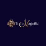 TransMagnific